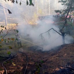 ​Огнеборцы ПЧ Железногорского района на тушении возгорания