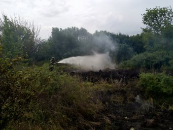 ​Пожарные Курского района не допустили распространения огня!