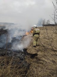 ​Не допустили распространения огня!