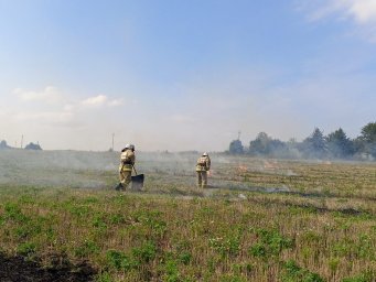 Возгорание в д. Новая Даниловка ликвидировано