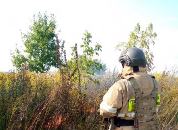 ​Огнеборцы ПЧ Рыльского района на тушении сухой растительности