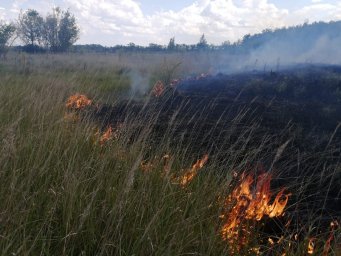 ​Горение сухой травы в Курском районе.