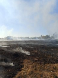 ​Возгорание в деревне Барышниково Полевского сельсовета ликвидировано