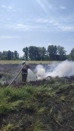 ​Не допустили распространения огня!