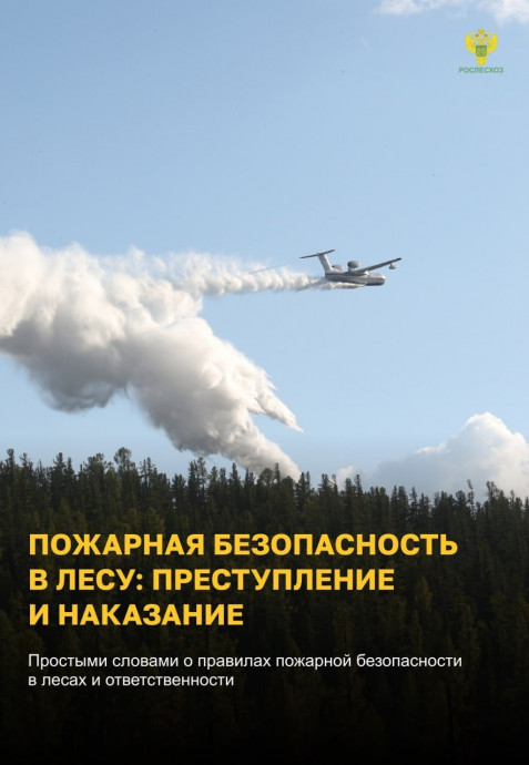 ​Останови огонь! Пожарная безопасность в лесу: преступление и наказание