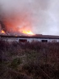 ​Глушковские пожарные в борьбе с огнём