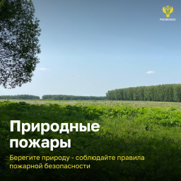 Природные пожары