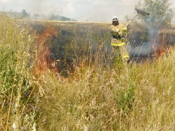 Черемисиновские огнеборцы не допустили распространение огня