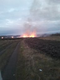 ​Солнцевские огнеборцы потушили луг