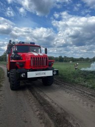 ​Горение сухой травы в деревне Крюково Черемисиновского района ликвидировано