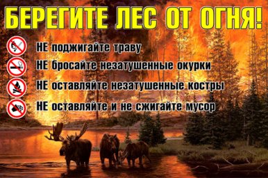 ​Берегите жителей леса, соблюдайте пожарную безопасность!