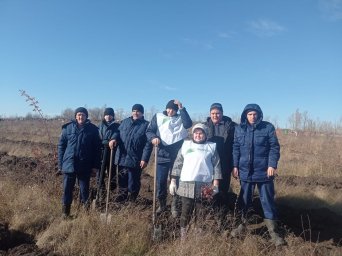 ​Национальный проект &laquo;Сохраним лес&raquo;