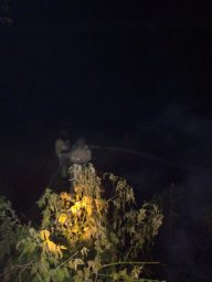 ​Пожар в Рыльском районе: огнеборцы предотвратили угрозу жилым домам