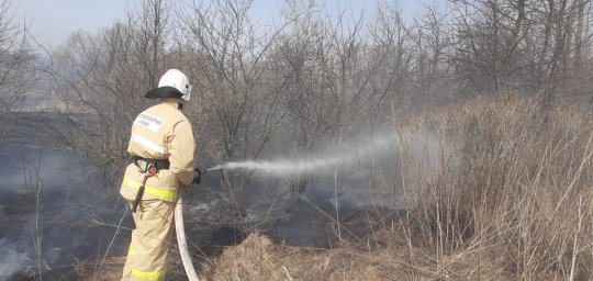 ​Поныровские борцы с огнем потушили траву