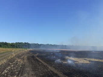 ​Пристенские огнеборцы потушили горящую стерню