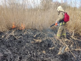Суджанские огнеборцы на борьбе с палами