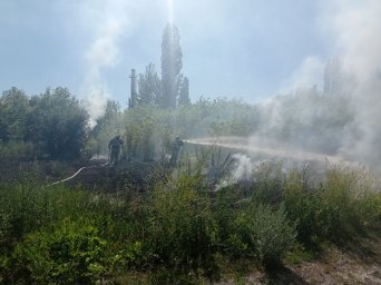 ​Возгорание сухой травы ликвидировано Черемисиновскими огнеборцами