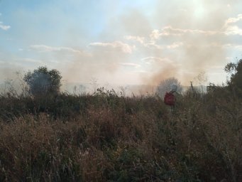 ​Горение сухой травы ликвидировано