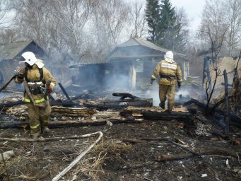​В селе 1-я Китаевка из-за поджога сухой травы сгорели надворные постройки.