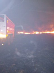​Железногорские огнеборцы проконтролировали пал сухой травы