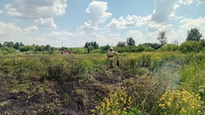 ​Защитим деревню! Фатежские огнеборцы на борьбе с горением сухой травы
