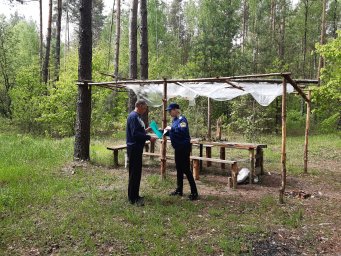 ​Дмитриевские леса будут защищены от пожаров