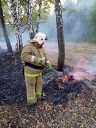 ​Хомутовские пожарные и ДПК "Патриот" тушат очаги горения сухой травы