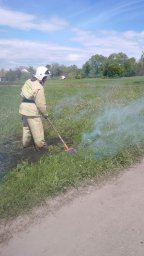 ​Возгорание сухой травы в деревне Большое Мальцево Курского района ликвидировано