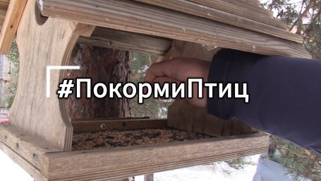 Всё больше работников Противопожарной службы присоединяются к акции #покормиптиц
