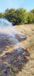 ​Фатежские огнеборцы на борьбе с горением сухой травы в д. Сотниково
