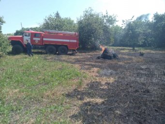 ​Огнеборцы Противопожарной службы в борьбе с огнем