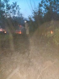 ​Горение сухой травы д.1-е Писклово ликвидировано
