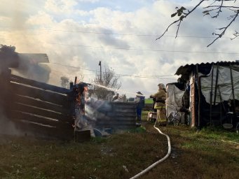 ​Черемисиновские огнеборцы потушили времянку