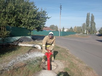 ​ПТЗ в больнице Черемисиновского района
