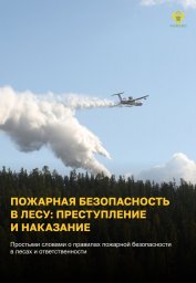 ​Останови огонь! Пожарная безопасность в лесу: преступление и наказание
