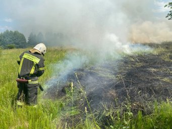Горение мусора на территории Золотухинского района