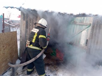 ​Пожар в д. Большедолженково Октябрьского района