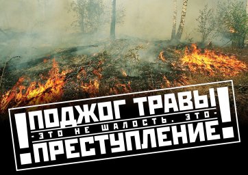 Усиливается ответственность за нарушение противопожарных правил в лесах