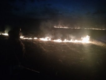 ​Рыльские борцы с огнем на тушении сухой травы