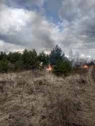 ​Кореневские огнеборцы в борьбе с огнем