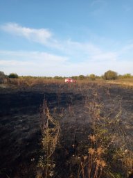 ​Огнеборцы Золотухинского района потушили пожар в д.Дубовец