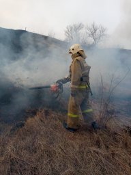 ​Рыльские борцы с огнем не допустили огонь к жилью
