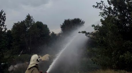 ​Тимские пожарные на тушении сухой травы в деревне Дмитриевка