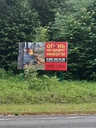 Занятия по тушению лесных пожаров в Дмитриевском районе