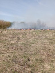 ​АНО &laquo;Центр &laquo;Патриот&raquo; Рыльского района потушили горение сухой травы