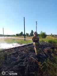 ​Рыльские пожарные потушили сухую траву