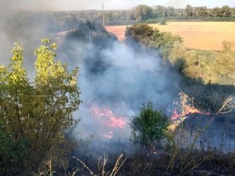 ​Добровольные пожарные дружины помогают тушить ландшафтные пожары
