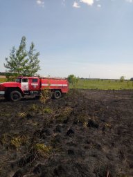 ​Рыльские пожарные на тушении сухой травы в деревне Мазеповка