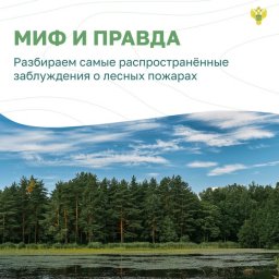 ​#ОстановиОгонь ! Миф и правда