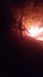 ​Огнеборцы и добровольцы Курского района. Очаги горения ликвидированы полностью
